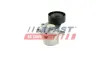 Spannrolle, Keilrippenriemen FAST FT44649