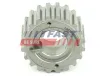 Zahnrad, Ausgleichswelle FAST FT45604