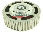 Zahnrad, Einspritzpumpe FAST FT45611