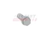 Schraube, Achszapfen FAST FT45903 Bild Schraube, Achszapfen FAST FT45903