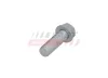 Schraube, Achszapfen FAST FT45903 Bild Schraube, Achszapfen FAST FT45903