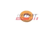 Wärmeschutzscheibe, Einspritzanlage FAST FT47801