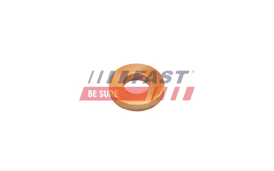 Wärmeschutzscheibe, Einspritzanlage FAST FT47801 Bild Wärmeschutzscheibe, Einspritzanlage FAST FT47801