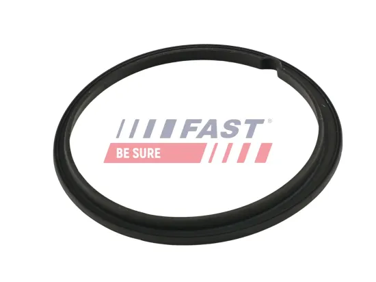 Dichtung, Kraftstoffpumpe FAST FT48502 Bild Dichtung, Kraftstoffpumpe FAST FT48502