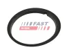 Dichtung, Kraftstoffpumpe FAST FT48502 Bild Dichtung, Kraftstoffpumpe FAST FT48502