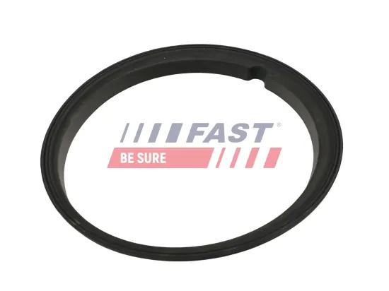 Dichtung, Kraftstoffpumpe FAST FT48502 Bild Dichtung, Kraftstoffpumpe FAST FT48502