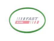 Dichtung, Kraftstofftank FAST FT48503