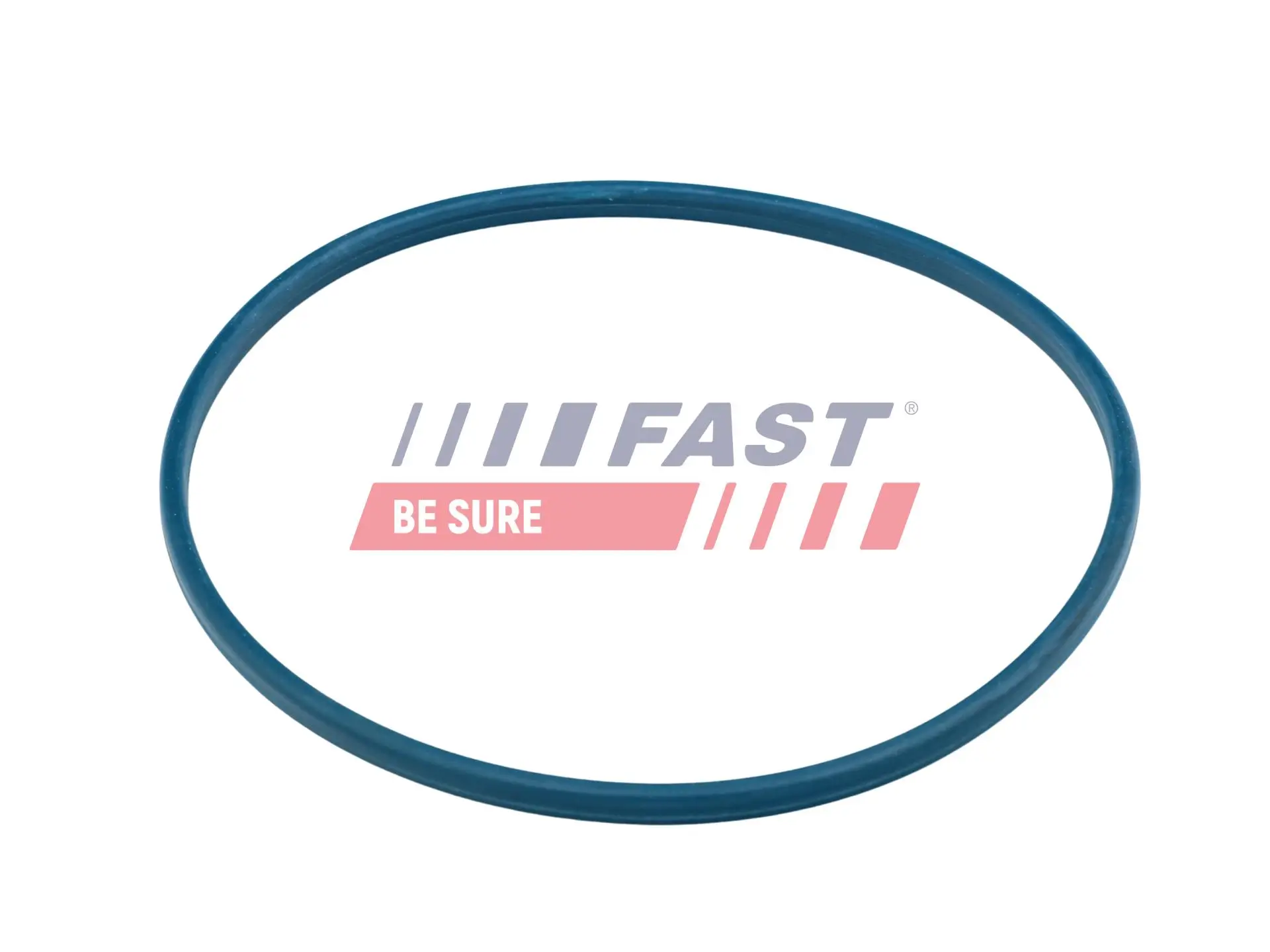 Dichtung, Kraftstofftankverschluss FAST FT48504