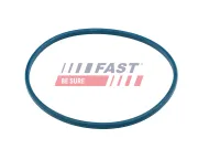 Dichtung, Kraftstofftankverschluss FAST FT48504