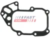Dichtring, &Ouml;lk&uuml;hler (Schmierung) FAST FT48548