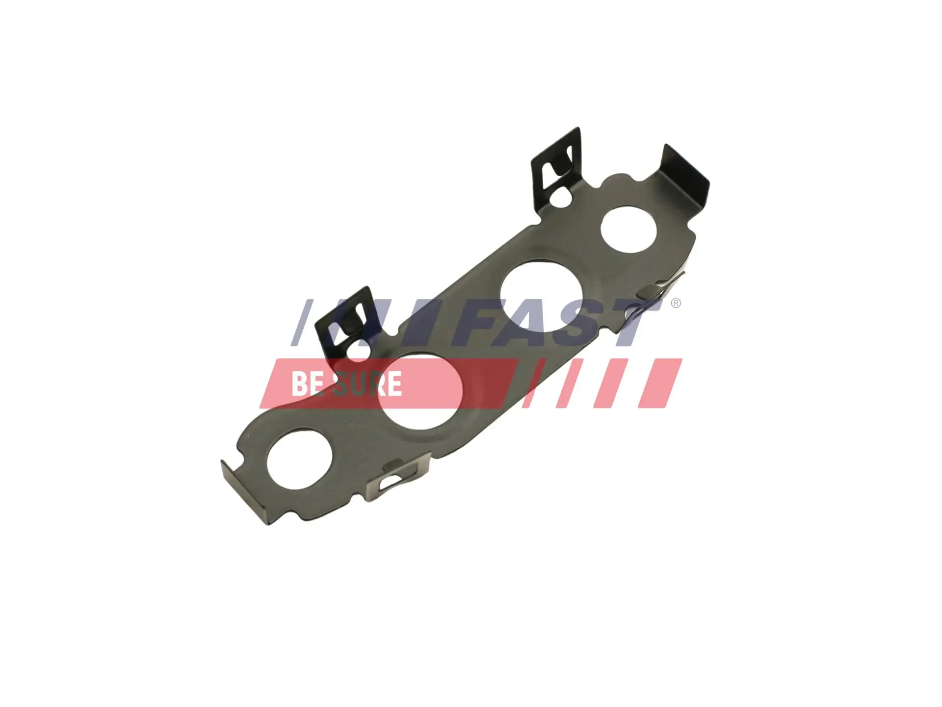 Dichtung, Lader FAST FT48810