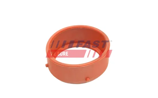 Dichtung, Lader FAST FT48813 Bild Dichtung, Lader FAST FT48813