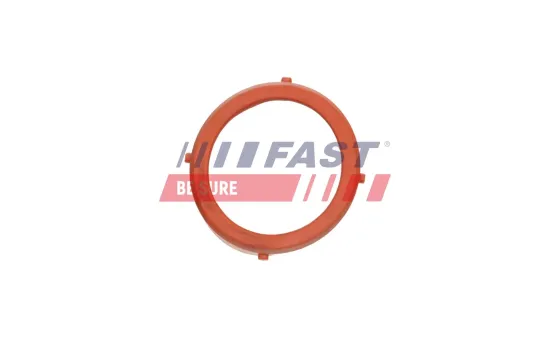 Dichtung, Lader FAST FT48813 Bild Dichtung, Lader FAST FT48813