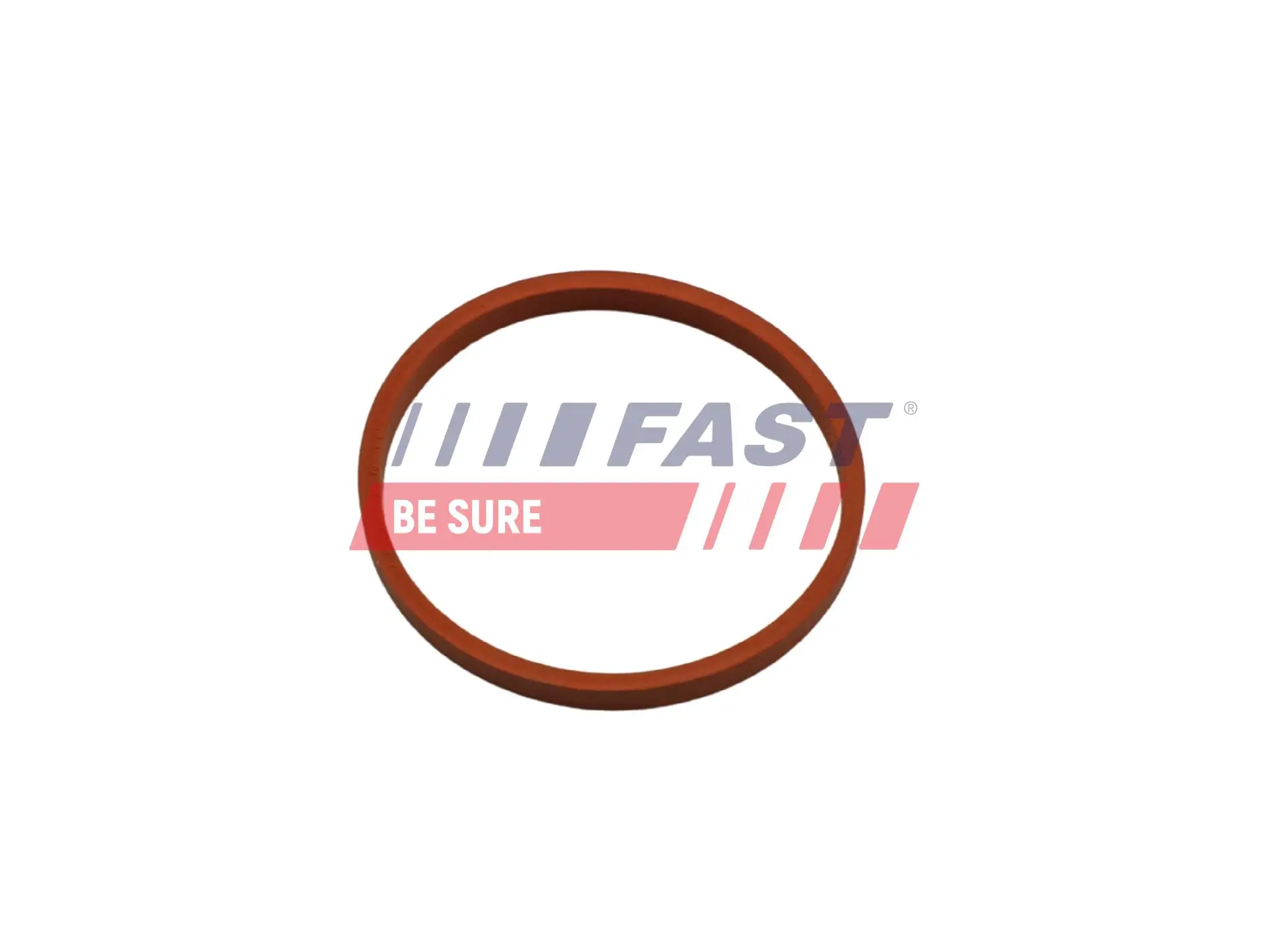 Dichtring, Ladeluftschlauch FAST FT48932