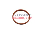 Dichtring, Ladeluftschlauch FAST FT48932