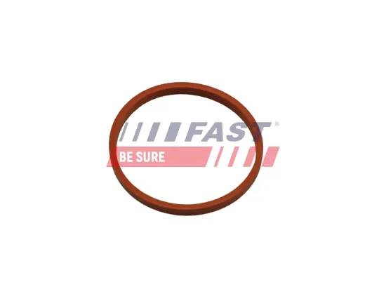 Dichtring, Ladeluftschlauch FAST FT48932 Bild Dichtring, Ladeluftschlauch FAST FT48932