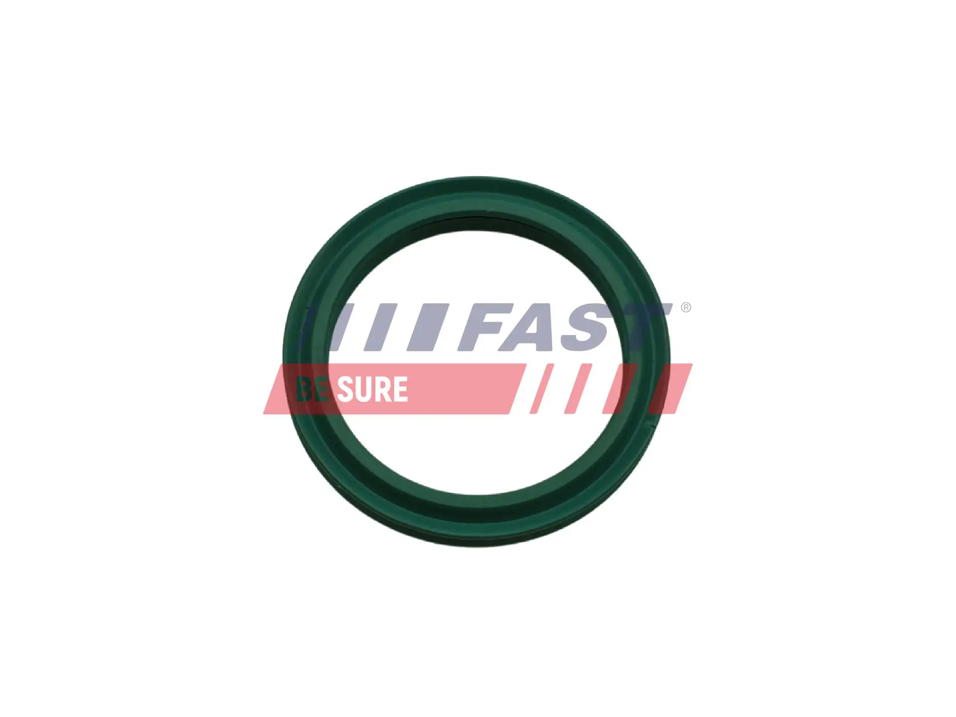 Dichtring, Ladeluftschlauch FAST FT48933