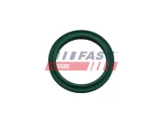 Dichtring, Ladeluftschlauch FAST FT48933