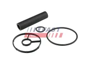 Reparatursatz, Bremssattel Hinterachse FAST FT32479