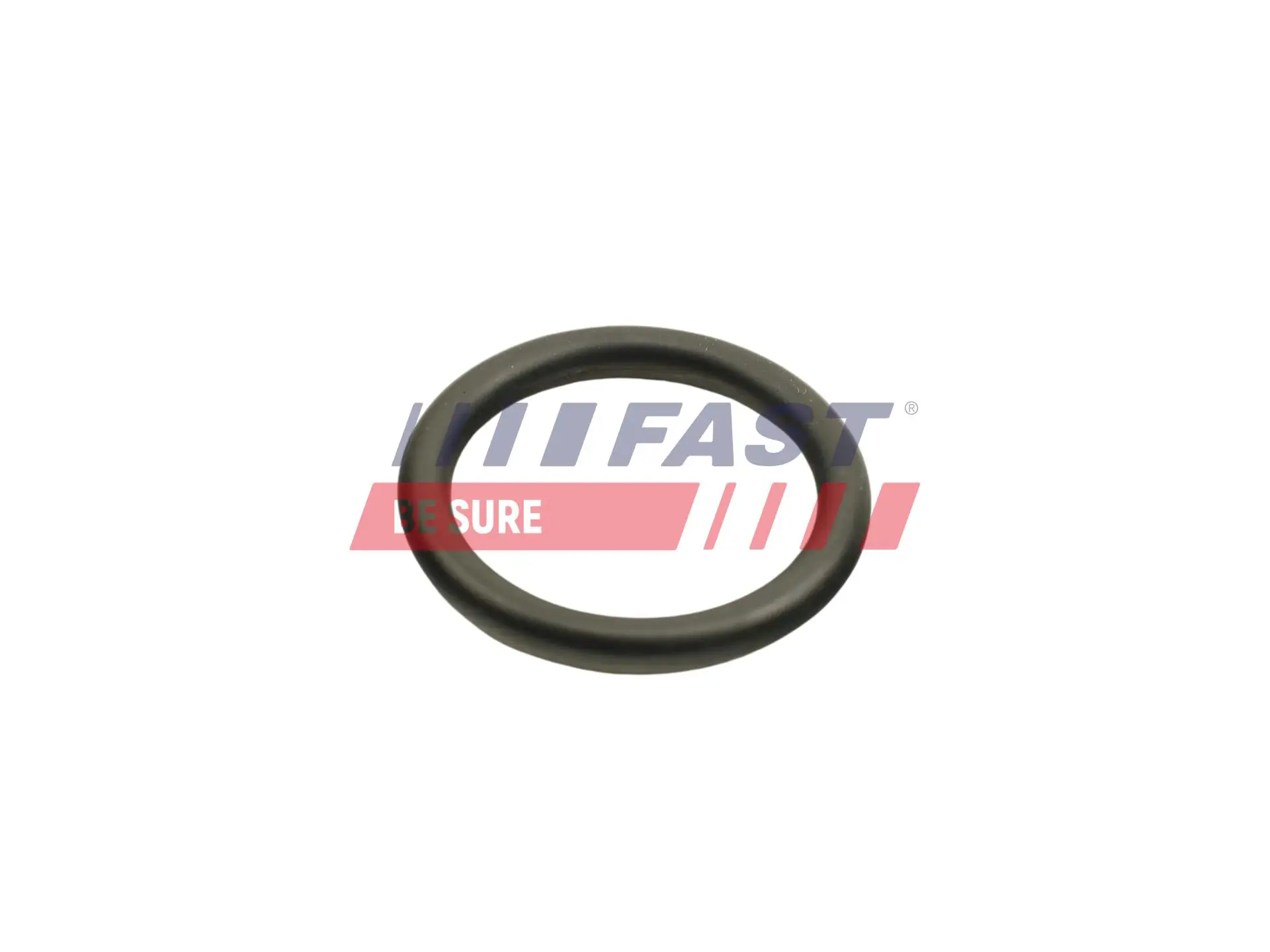 Dichtring, Ölkühler (Schmierung) FAST FT48940