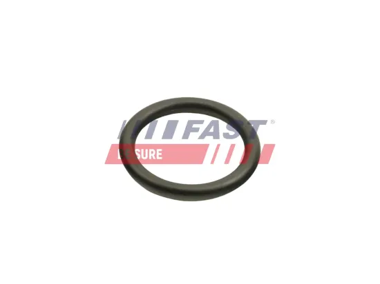 Dichtring, Ölkühler (Schmierung) FAST FT48940 Bild Dichtring, Ölkühler (Schmierung) FAST FT48940