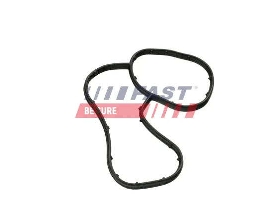 Dichtring, Ölkühler (Schmierung) FAST FT48941 Bild Dichtring, Ölkühler (Schmierung) FAST FT48941