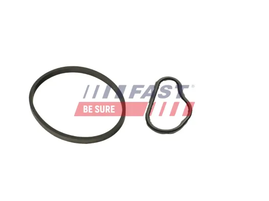 Dichtung, Unterdruckpumpe FAST FT48943 Bild Dichtung, Unterdruckpumpe FAST FT48943