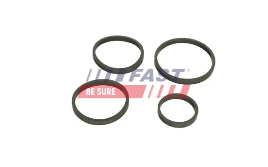 Dichtring, Ölkühler (Schmierung) FAST FT48949 Bild Dichtring, Ölkühler (Schmierung) FAST FT48949