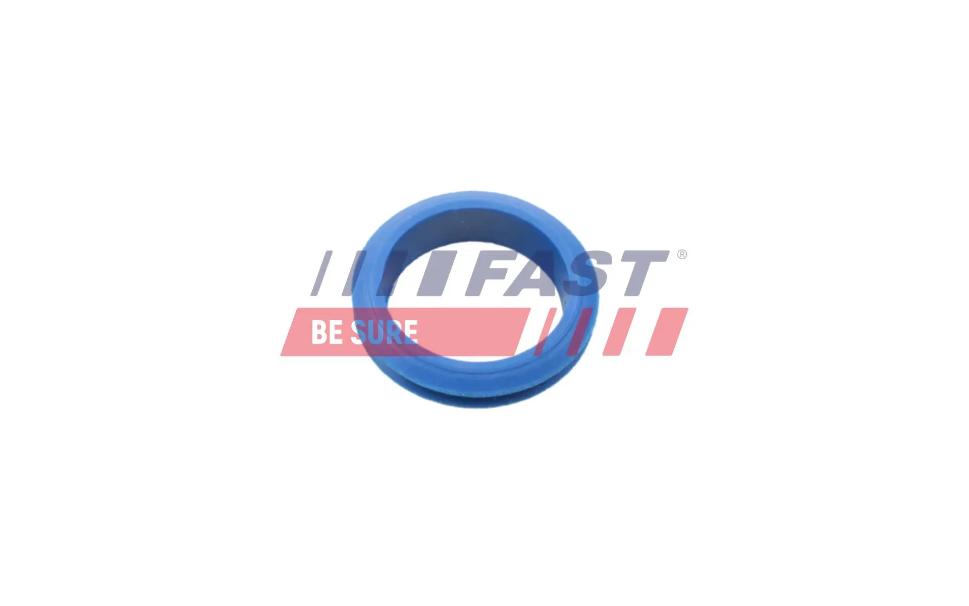 Dichtung, Ölpeilstab FAST FT48955