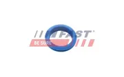 Dichtung, Ölpeilstab FAST FT48955