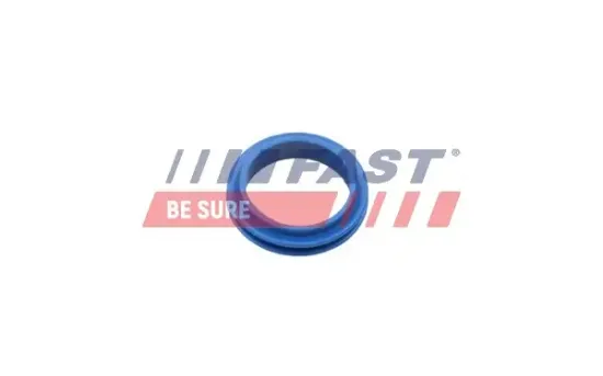 Dichtung, Ölpeilstab FAST FT48955 Bild Dichtung, Ölpeilstab FAST FT48955
