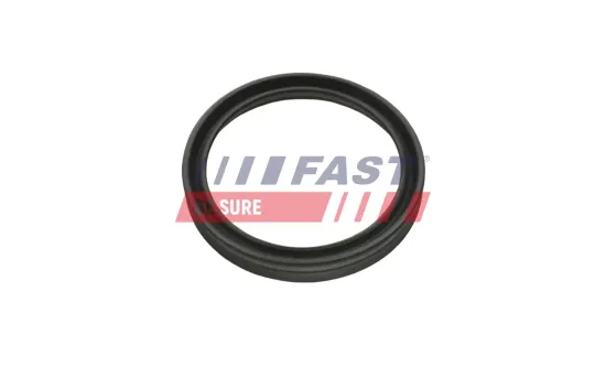 Dichtring, Ladeluftschlauch FAST FT48956 Bild Dichtring, Ladeluftschlauch FAST FT48956