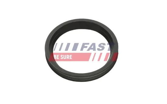 Dichtring, Ladeluftschlauch FAST FT48956 Bild Dichtring, Ladeluftschlauch FAST FT48956
