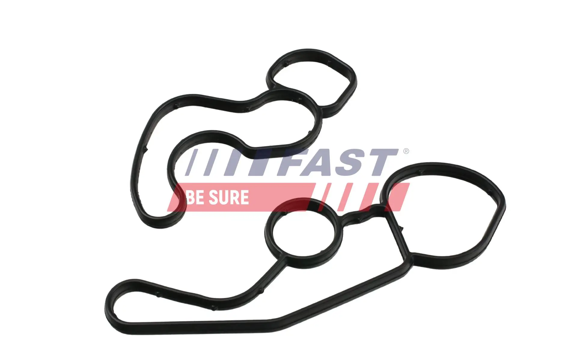 Dichtring, Ölkühler (Schmierung) FAST FT48961