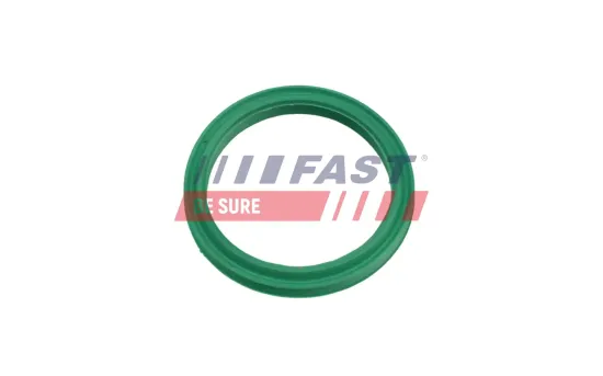 Dichtring, Ladeluftschlauch FAST FT48962 Bild Dichtring, Ladeluftschlauch FAST FT48962