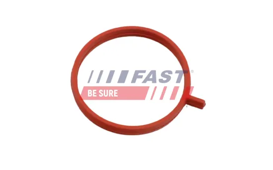 Dichtring, Ladeluftschlauch FAST FT48963 Bild Dichtring, Ladeluftschlauch FAST FT48963