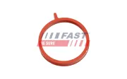 Dichtring, Ladeluftschlauch FAST FT48964