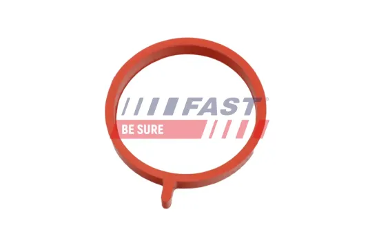 Dichtring, Ladeluftschlauch FAST FT48964 Bild Dichtring, Ladeluftschlauch FAST FT48964