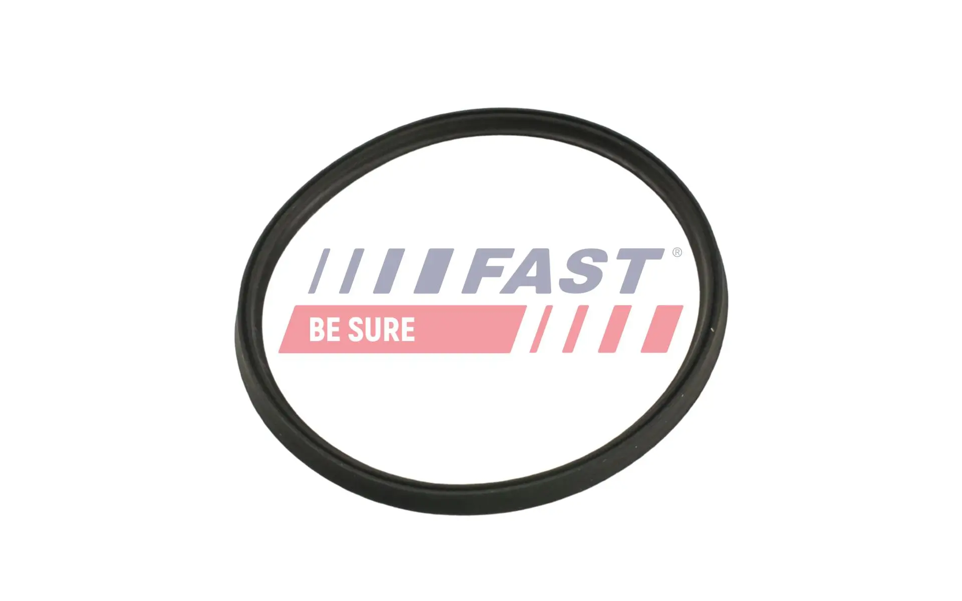 Dichtring, Ladeluftschlauch FAST FT48965