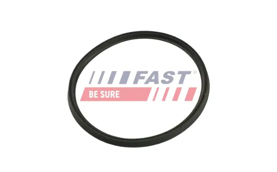 Dichtring, Ladeluftschlauch FAST FT48965 Bild Dichtring, Ladeluftschlauch FAST FT48965
