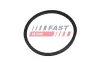 Dichtring, Ladeluftschlauch FAST FT48965 Bild Dichtring, Ladeluftschlauch FAST FT48965