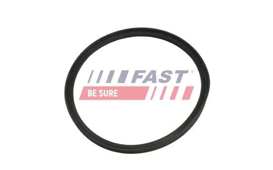 Dichtring, Ladeluftschlauch FAST FT48965 Bild Dichtring, Ladeluftschlauch FAST FT48965