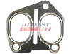 Dichtung, Abgaskr&uuml;mmer FAST FT49415