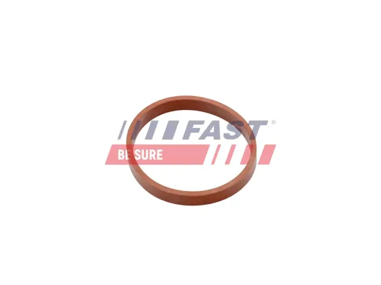 Dichtung, Ansaugkrümmer FAST FT49418 Bild Dichtung, Ansaugkrümmer FAST FT49418