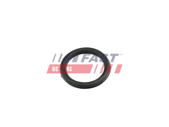 Kraftstofffilter FAST FT39046 Bild Kraftstofffilter FAST FT39046