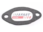 Dichtung, Ansaugkrümmer Eingang FAST FT49427