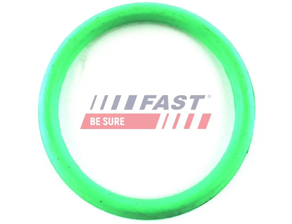 Dichtung, Ansaugkrümmer Ausgang FAST FT49434
