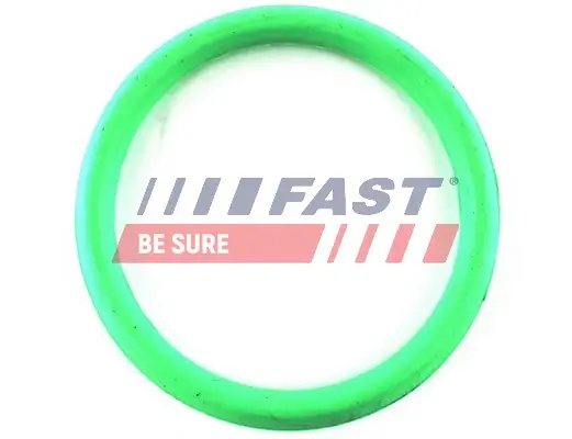 Dichtung, Ansaugkrümmer Ausgang FAST FT49434