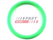 Dichtung, Ansaugkrümmer Ausgang FAST FT49434