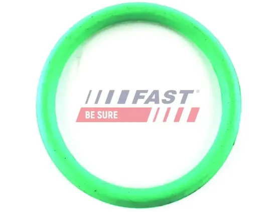 Dichtung, Ansaugkrümmer Ausgang FAST FT49434 Bild Dichtung, Ansaugkrümmer Ausgang FAST FT49434